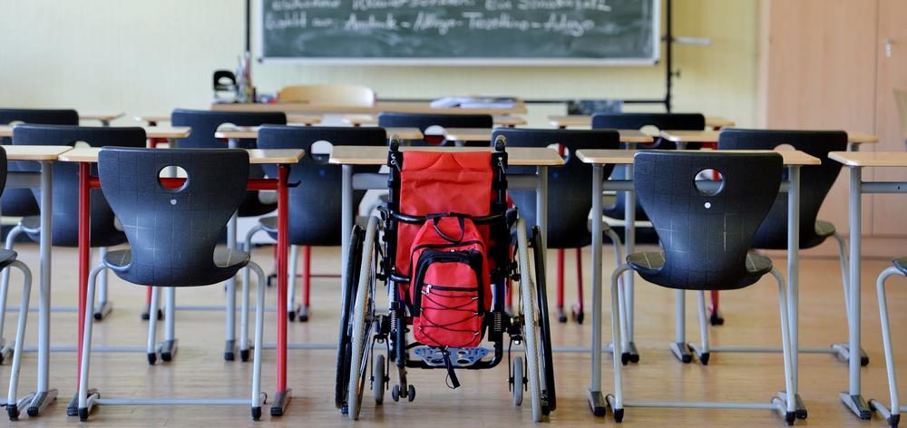 Le nombre d'élèves handicapés scolarisés a-t-il réellement augmenté ? -  Ecole et Handicap